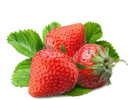 fraises Murano la bq de 500gr